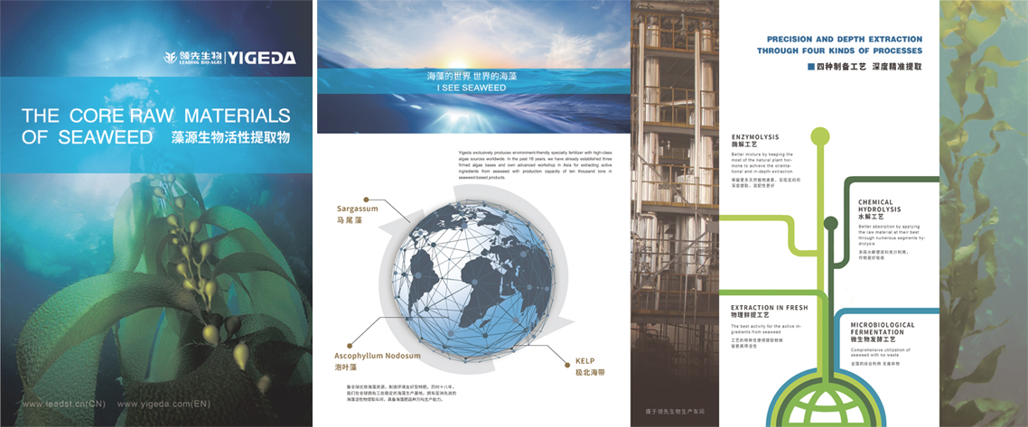 乐鱼体育生物海藻精加工新生产线项目动工