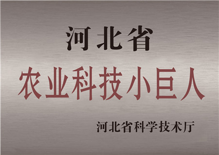 乐鱼体育生物农业股份有限公司被评为河北省农业科技小巨人